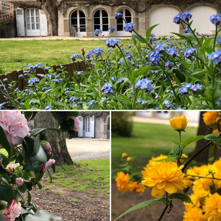 ホテル Au Rez De Jardin ショレ エクステリア 写真