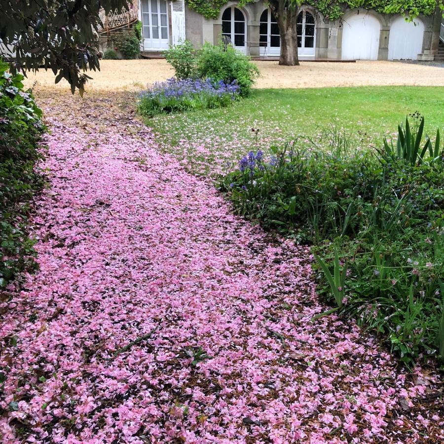 ホテル Au Rez De Jardin ショレ エクステリア 写真