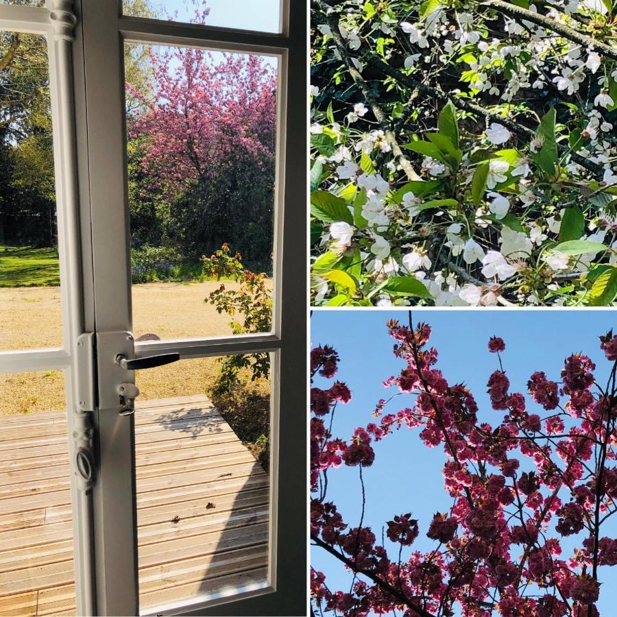 ホテル Au Rez De Jardin ショレ エクステリア 写真