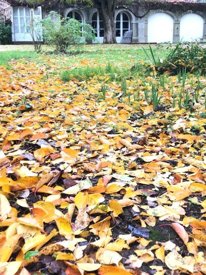 ホテル Au Rez De Jardin ショレ エクステリア 写真