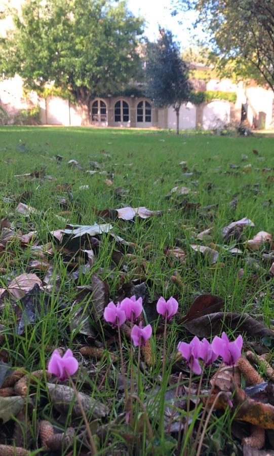 ホテル Au Rez De Jardin ショレ エクステリア 写真